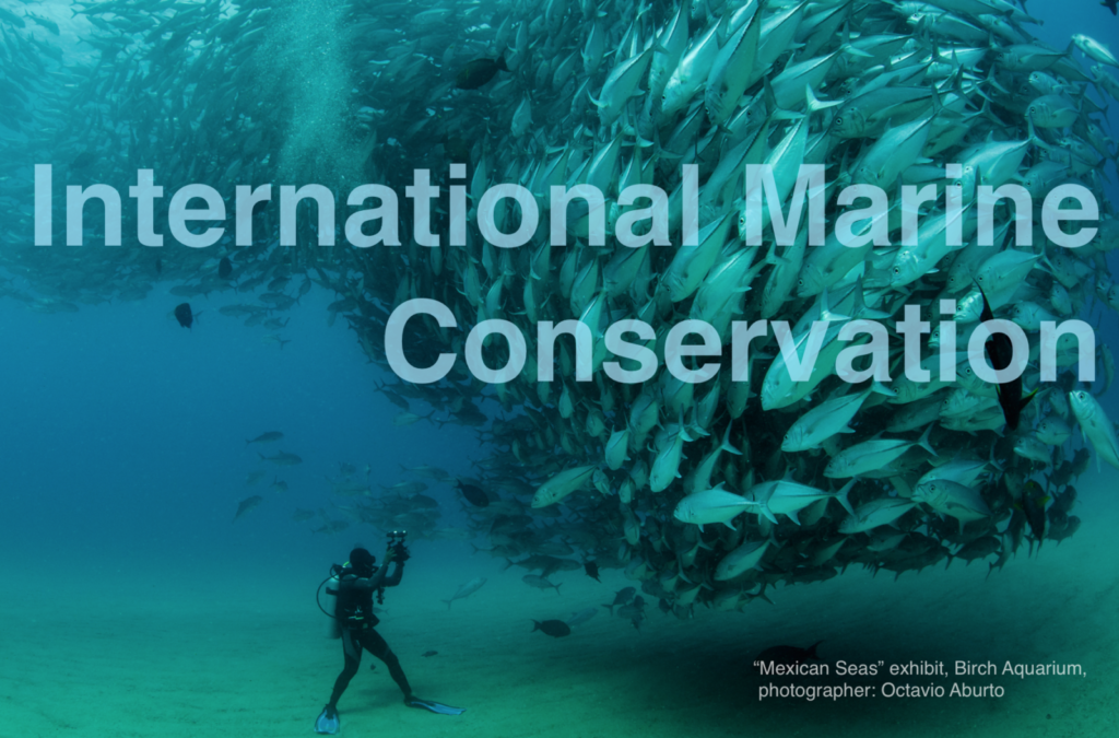 Global Social Hour: International Marine Conservation - San Diego