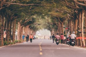 People walking on the street between green trees