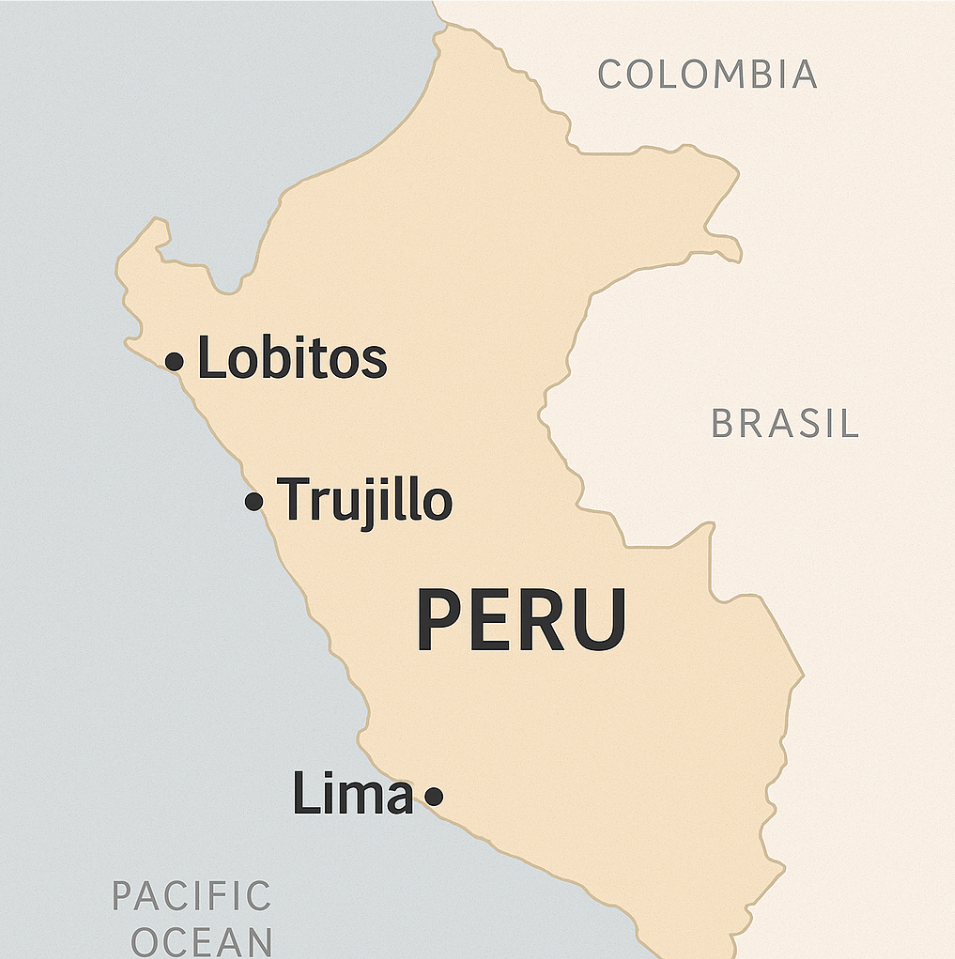 Screenshot 2025 08 05 200159